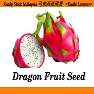 Fast Shipping Dragon fruit seed biji benih buah buahan
