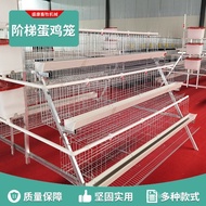 Stepped Egg Chicken Cage Farm Special Cage Chicken Cage Stepped Egg Chicken Cage Farming Chicken Equ
