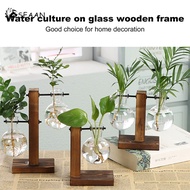 Glass Bulb Planter Vase Terrarium Kit with Retro Solid Wooden Stand for Hydroponics Plants Home Garden Office Wedding Decor