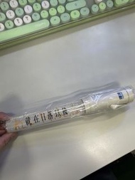 孫燕姿演唱會螢光棒
