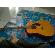 Yamaha F-310P (Series Number Progressive)