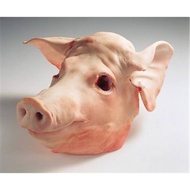 Kepala babi mentah utuh segar / fresh pig head (daging babi fresh