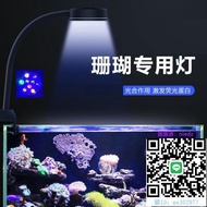 魚缸燈海水缸led射燈小丑魚軟體珊瑚海葵補光燈藻燈USB定時調亮度迷你水族燈