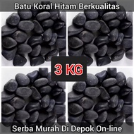 Black coral stone 3 kg black coral stone/ black coral stone garden
