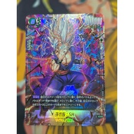 FB07-121 SCR Son Gohan : SH 孫悟飯：SH(パラレル)【SCR☆】