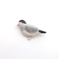 Java sparrow brooch