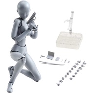 Action Figure Drawing Models, Human Mannequin Body Kun Doll Body-Chan Male/Female Action Figure DX S