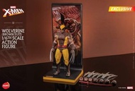 全新未開 Hottoys HS03 Hono Studio X Men Wolverine Brown Suit 狼人漫威啡色1/6 figure hot toys 動漫節限定350套.