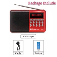 SP-S-KK69 FM RADIO/MUSIC PLAYER