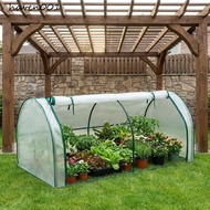 HAVEN Mini Plant Greenhouse, Efficient Protect Plastic Plant Grow Tent, Portable Transparent Waterpr