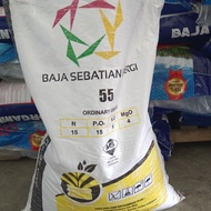 Baja Anak Sinergi 15:15:6:4: TE