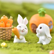 Cartoon Bunny Mini Cute Micro Landscape Succulent Plant Flowerpot Decoration Mushroom House Carrot Simulation Animal