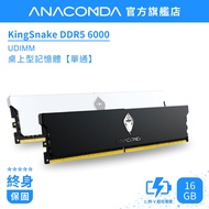 [First Choice for Players] Python DDR5 Memory 6,000MHz 16GB UDIMM Desktop Memory | KingSnake Single 