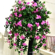 Artificial Rhododendron Azalea Wall Decoration Flower Hanging Flower Fake Flower Vine Plastic Flower