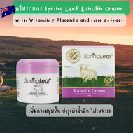 ครีมรกแกะ Spring Leaf Lanolin Cream ฝาม่วง ฝาเขียว ของแท้นำเข้าออสเตรเลีย