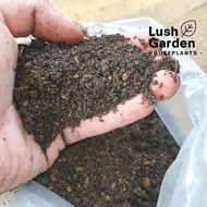 3KG 4 in 1 Mix Soil / Tanah Hitam Sawit / Tanah Campuran / Tanah Baja / Palm Oil Mill Effluent (POME