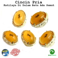 [Bayar Di Tempat] Cincin Batu Akik Getah Katilayu Ada Semutnya B495