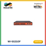 WITEK WI-SG310F | Holistek