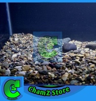 Pasir tiasand tia sand aquascape aquarium / Pasir tia sand aquascape aquarium / Tiasand aquascape /
