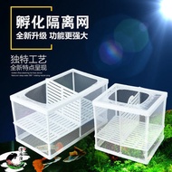Fish Tank Incubation Box Breeding Isolation Box Tropical Guppy Betta Aquarium Isolation Net Breeding