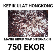 kepik ulat hongkong 750