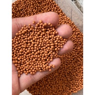 Augustfame - 1L Ceramsite 2-4mm Leca (Suitable for Hydroponic, Mulching)