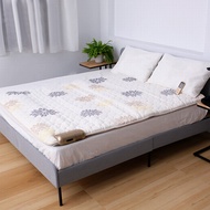Genuine HE&ME Spectrum Negative Potential Healthy Mattress Super King/Queen/Single CANAI佳莱频谱负电位健康床垫