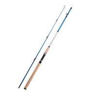 Rod Pantai Joran Pancing Hollow Rod Spinning 9 Kaki 10 Kaki