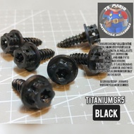 TITANIUM GR5 BLACK BODY BOLTS SALAYA HEAD