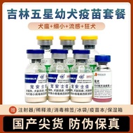 Jilin Five-Star Seedlings Dog Quadruple Prevent Small Dogs Plague Dogs Puppies Seedlings Domestic Pr