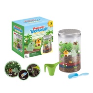 DIY Terrarium Kit  Early Education Toy Set~ Dinosaur