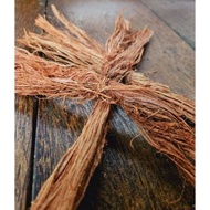 AKAR SINTOK ASLI AKAR SINTOK PERALATAN URUS JENAZAH AKAR SINTOK BERSIHKAN DAKI DAN KOTORAN PADA BADA