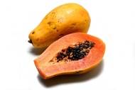 Sweet Papaya / Betik (Medium)