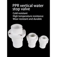 20/25/32/40/50/63 PPR check valve PPR vertical check valve 4 minutes 6 minutes 1 inch PPR check valv