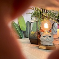 曙MUSE 扁臉貓木底桌燈 LED燈 鎢絲燈泡 USB燈 擺飾 毛孩 貓