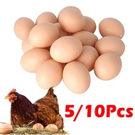 5pcs/10pcs Toy Fake Eggs Mini Plastic Simulation Eggs Painted Lifelike Eggs to Encourage Hens to Lay