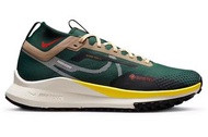 Nike Pegasus Trail4 Goretex