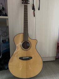 Breedlove 全單電木吉他