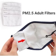 PM2.5 Carbon Filter Adult Mask