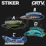 Channa Lovers Snakehead Fish Aquarium Sticker - Crtv