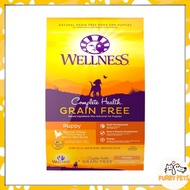 Wellness Dog Complete Health Grain Free Puppy Chicken &amp; Salmon Dry Food