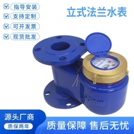 Vertical Flange Upper Inlet Lower Outlet Cold Water Rotor Type Industrial Water Meter DN50DN3337cm L