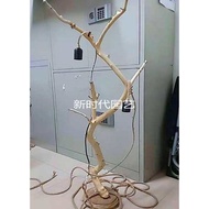Dried Branches Peeled Tree Branches Flower Arrangement Natural Wood Branches Artistic Dried Branches