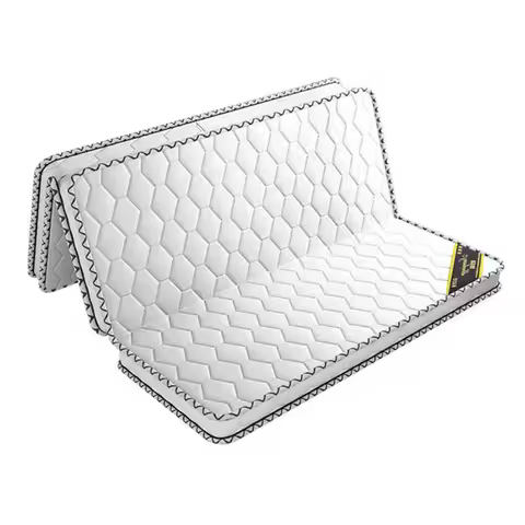 Natural Coir mattress coconut palm mattress pad hard coir palm folding mattress tatami floor mat hou