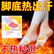 Ready stock in stock Wormwood Foot Warmer Heating Pad Hot Pad Foot Warmer Foot Pad Winter Warm Cold 