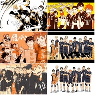 Set of 6 posters - Haikyuu Anime Poster!! Volleyball King (peel-off) - A3, A4, A5