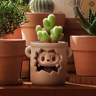 【Genuine】POP MART LABUBU THE MONSTERS Almost Hidden Series Clear Figures