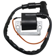 Boat Ignition Coil Assy For Yamaha FS1 LB50 LB80 GT80G DT80 DT100 DT125 DT175 DT250 DT400 IT125 IT17