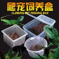 10Pcs Reptile Breeding Box Amphibian Feeding Container