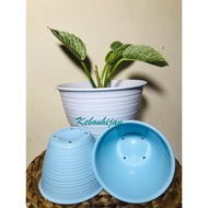 HIJAU 8cm Blue Wasp Pot/8Cm Blue Wasp Pot/Wasp Pot/Green Pot/Small Pot/Sukelen Pot